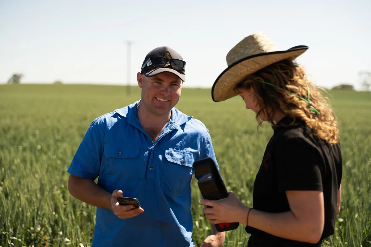 Two growers in a wheat crop comparing a Hone Lab Red reading on a phone