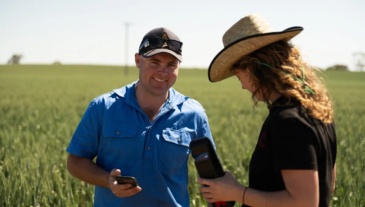 Two growers in a wheat crop comparing a Hone Lab Red reading with the app on a phone