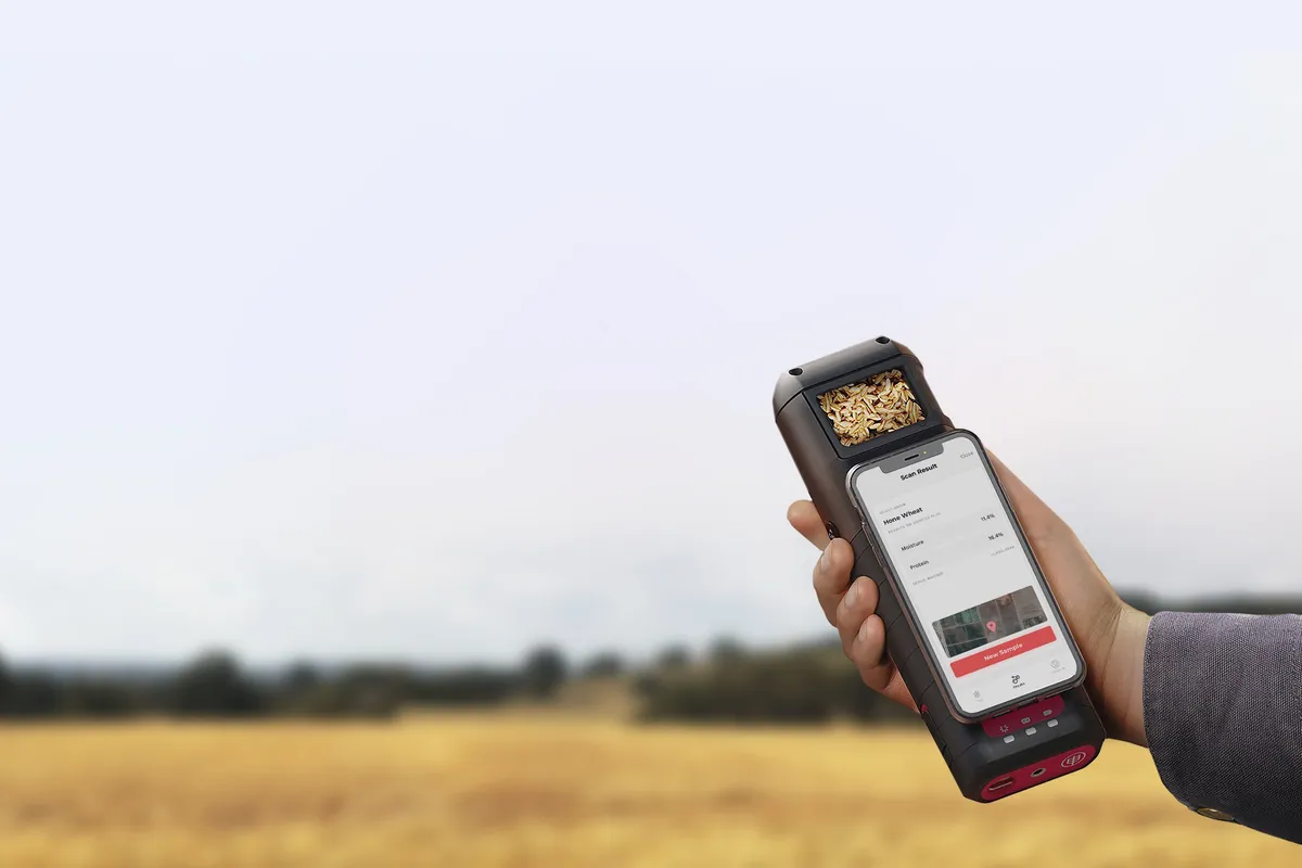 A grower holding up the Hone Lab Red in a wheat paddock, with results on the phone