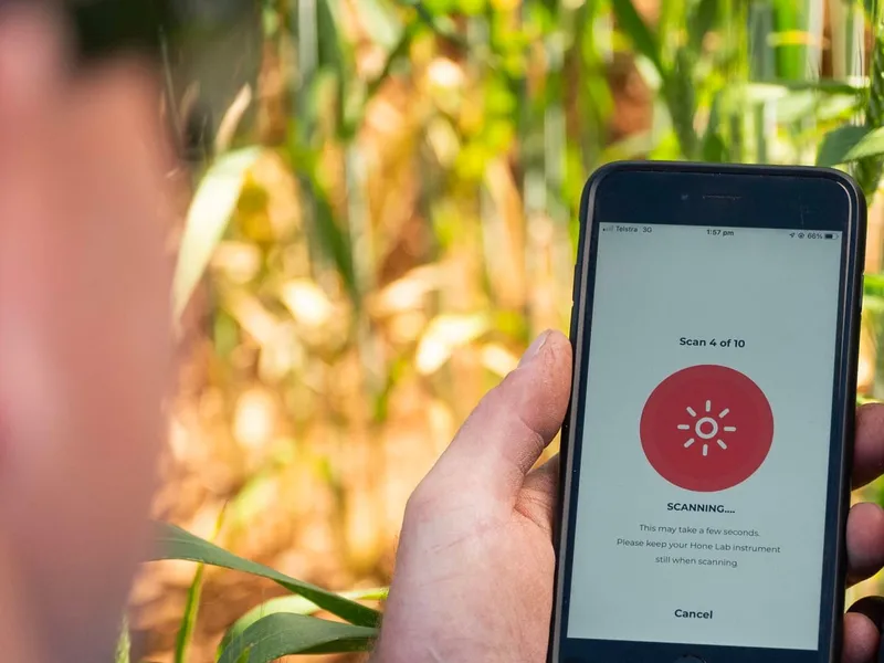The HoneLab application running a scan in the field