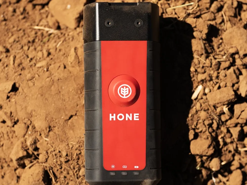 The Hone Lab Red lying on red soil in the field