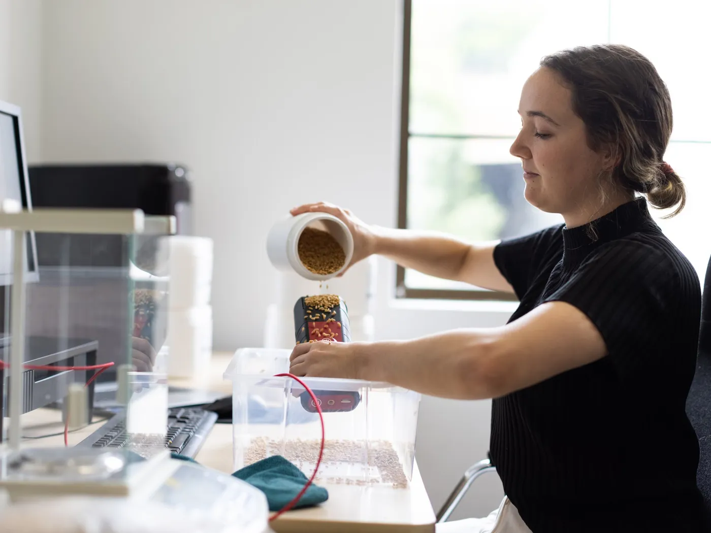 A Hone scientist pouring a grain sample at the laboratory bench, with a balance and results screen alongside